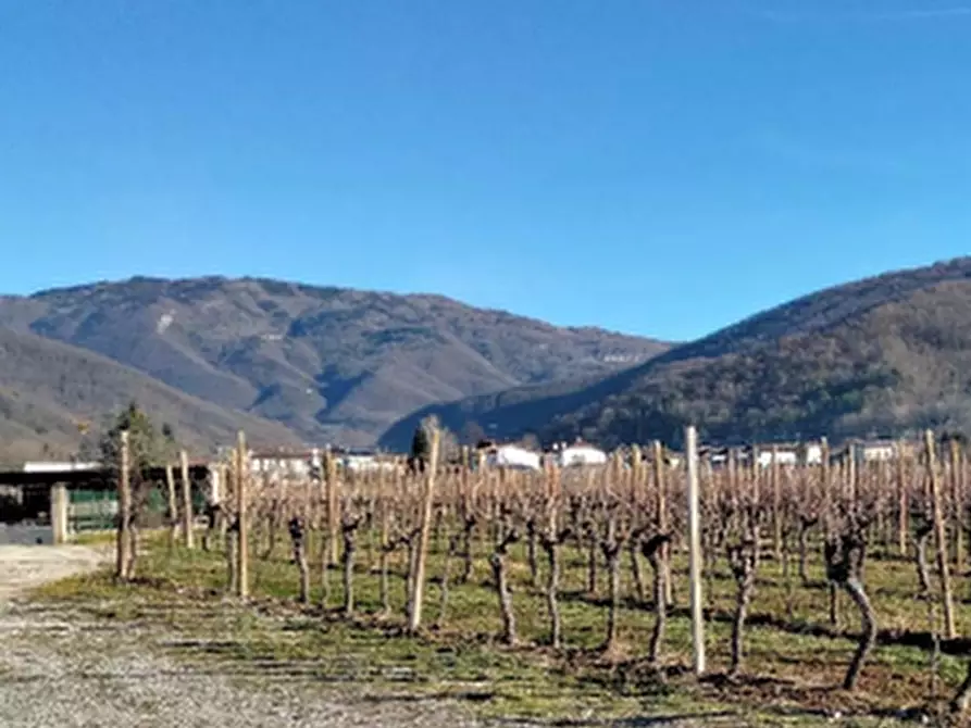 Immagine 3 di Villa in vendita  in Via Collevillano a Faedis