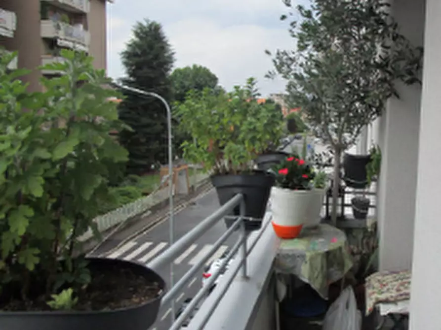 Immagine 12 di Appartamento in vendita  in Via Francesco Ferrucci  a Lissone