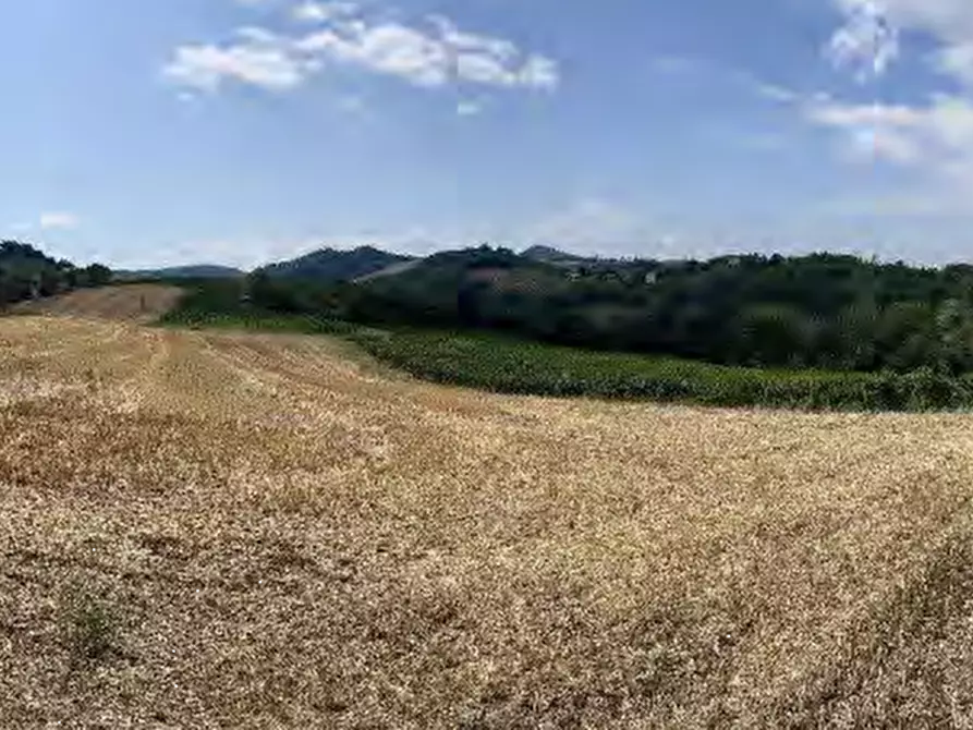 Immagine 1 di Terreno agricolo in vendita  in località Codevilla a Codevilla