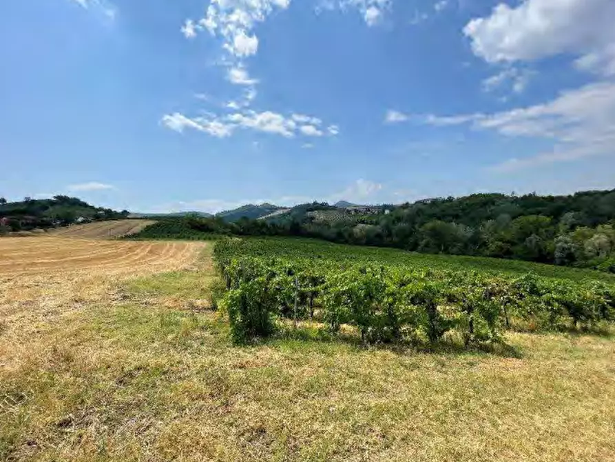 Immagine 2 di Terreno agricolo in vendita  in località Codevilla a Codevilla