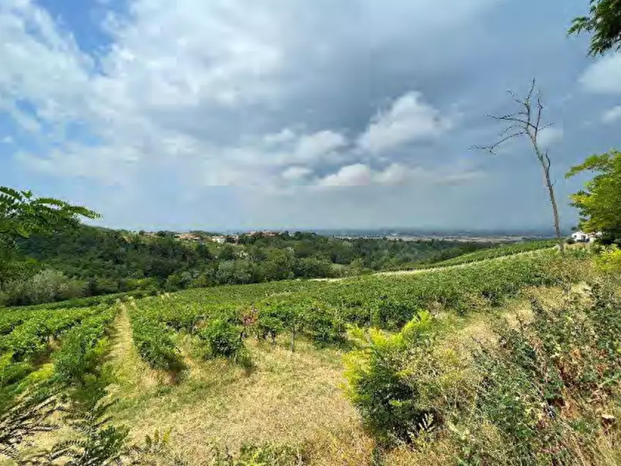 Immagine 3 di Terreno agricolo in vendita  in località Codevilla a Codevilla