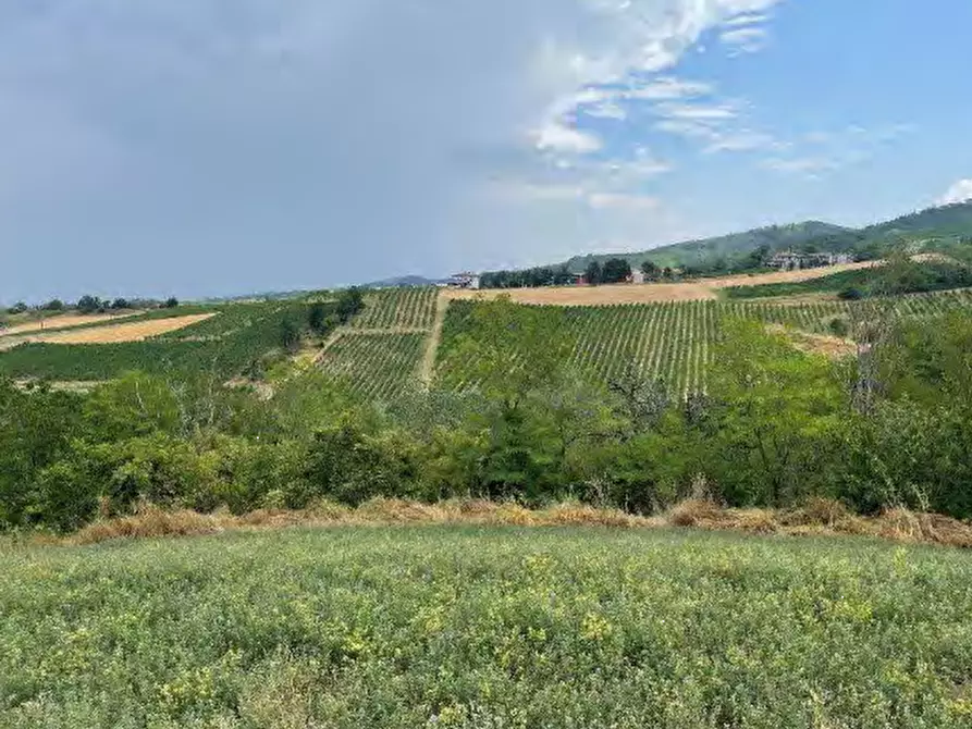 Immagine 4 di Terreno agricolo in vendita  in località Codevilla a Codevilla