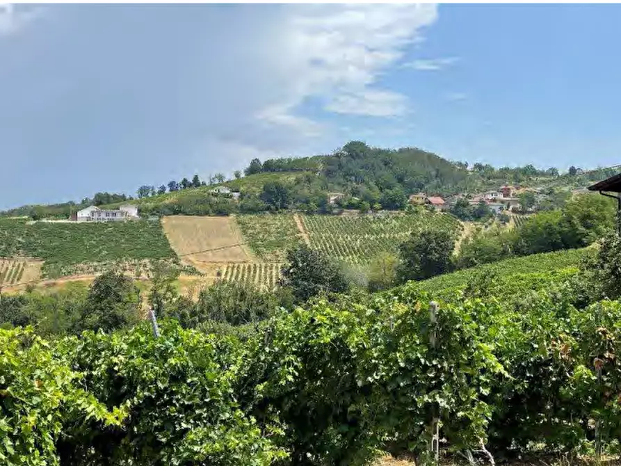Immagine 5 di Terreno agricolo in vendita  in località Codevilla a Codevilla