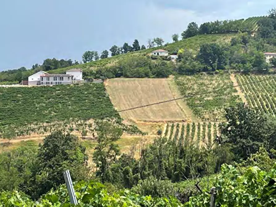 Immagine 6 di Terreno agricolo in vendita  in località Codevilla a Codevilla