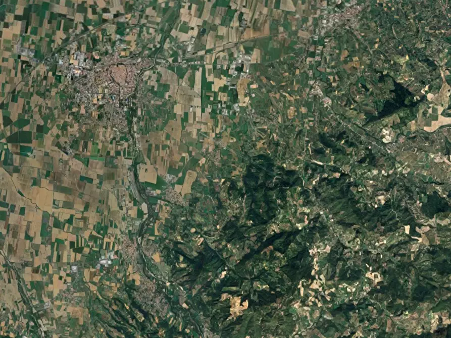 Immagine 9 di Terreno agricolo in vendita  in località Codevilla a Codevilla