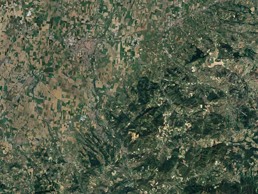 Immagine 10 di Terreno agricolo in vendita  in località Codevilla a Codevilla