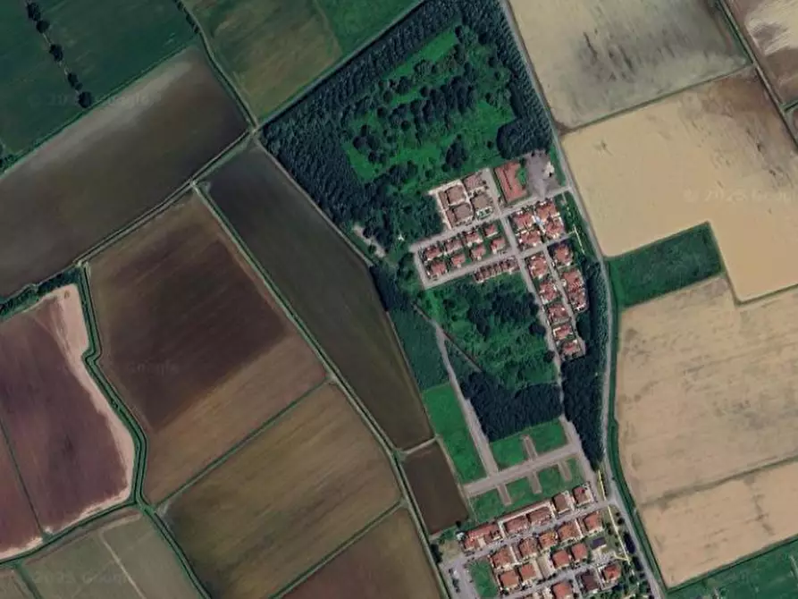 Immagine 11 di Terreno agricolo in vendita  in Via Cassarà e Terranova a Roncaro