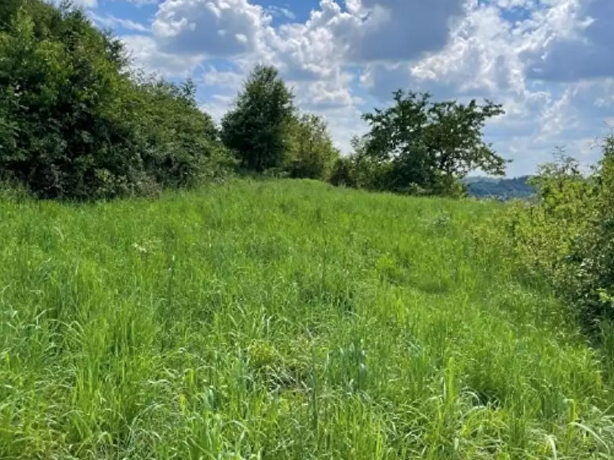 Immagine 4 di Terreno edificabile in vendita  in Via S. Carlo a Castello Di Brianza