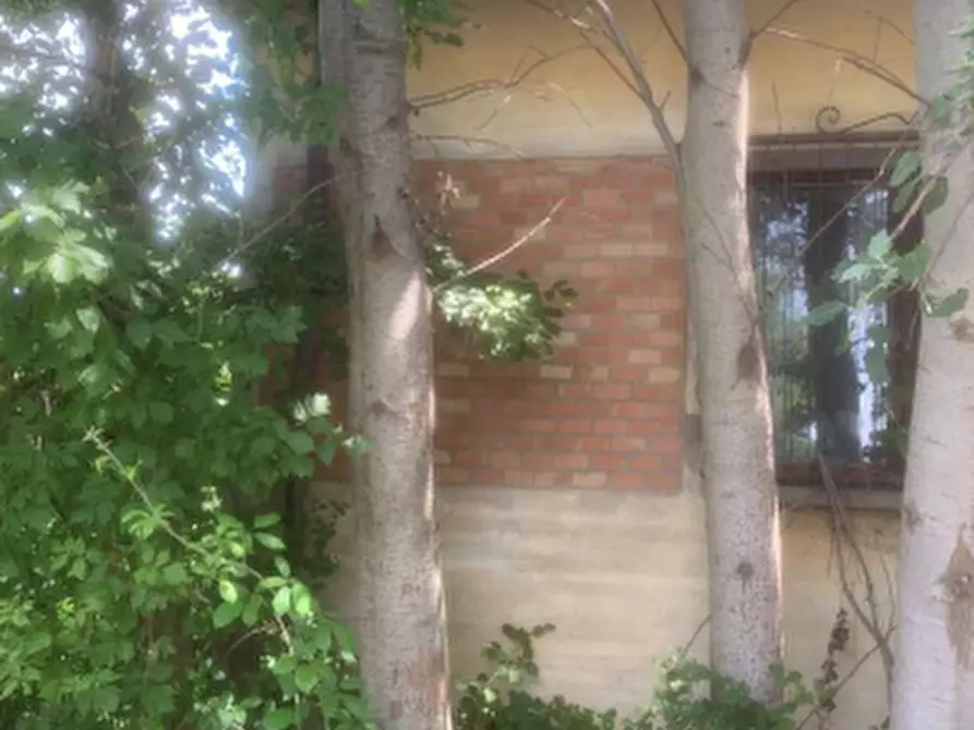 Immagine 5 di Casa indipendente in vendita  in Via Bassa a Alfonsine