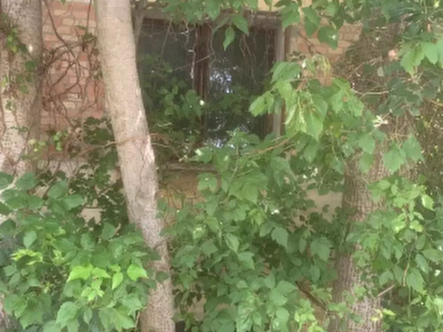 Immagine 6 di Casa indipendente in vendita  in Via Bassa a Alfonsine