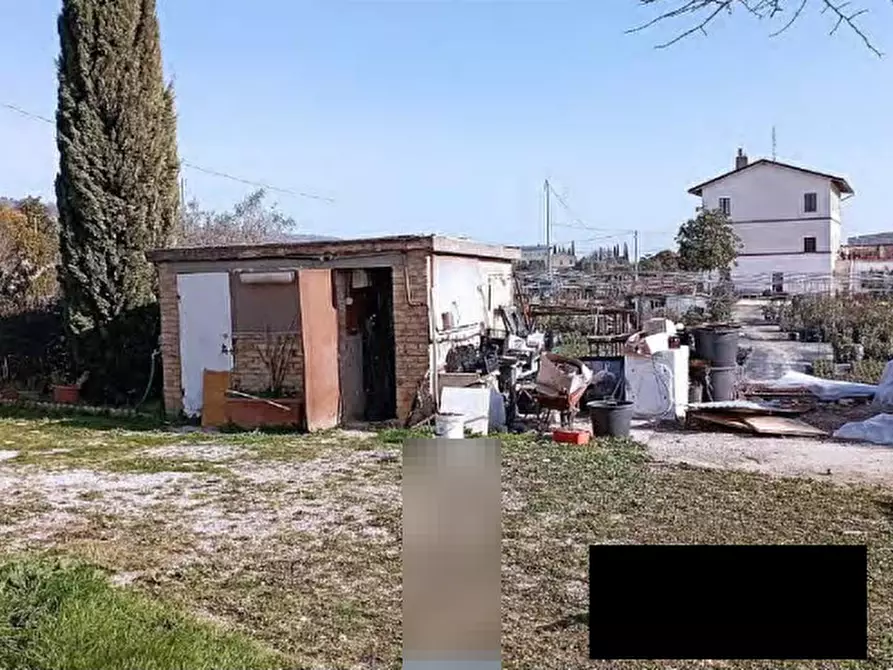 Immagine 5 di Casa indipendente in vendita  in Via Piane a Moresco