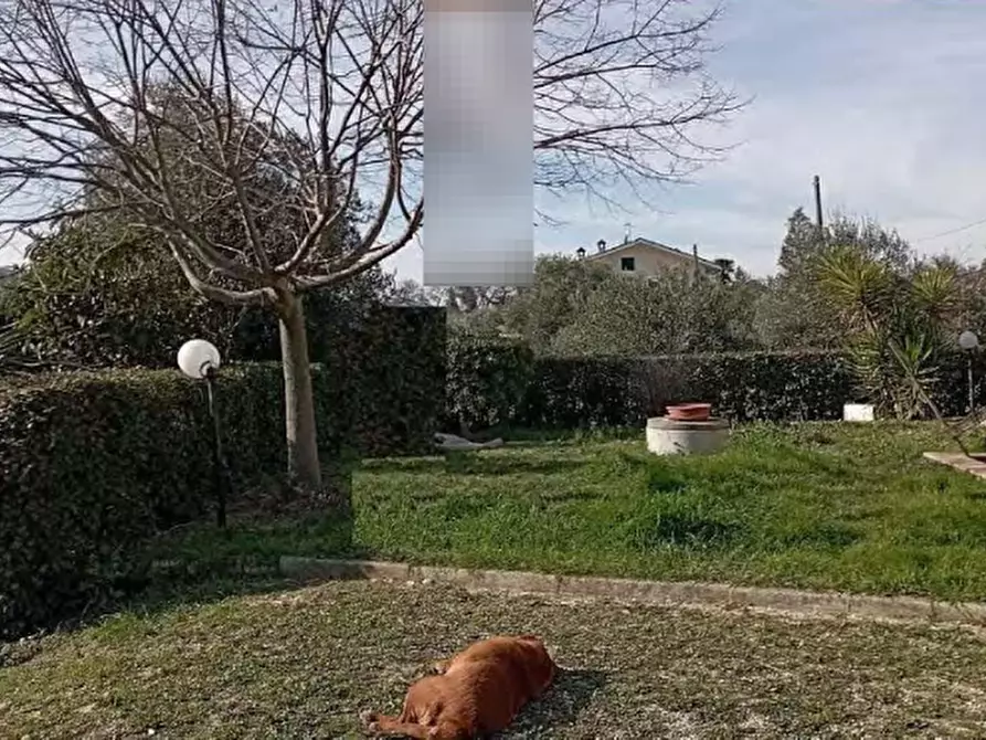 Immagine 6 di Casa indipendente in vendita  in Via Piane a Moresco