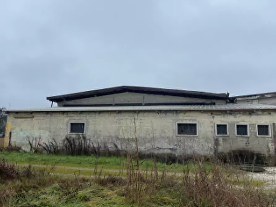 Immagine 4 di Capannone industriale in vendita  in Via delle Ville a Guastalla