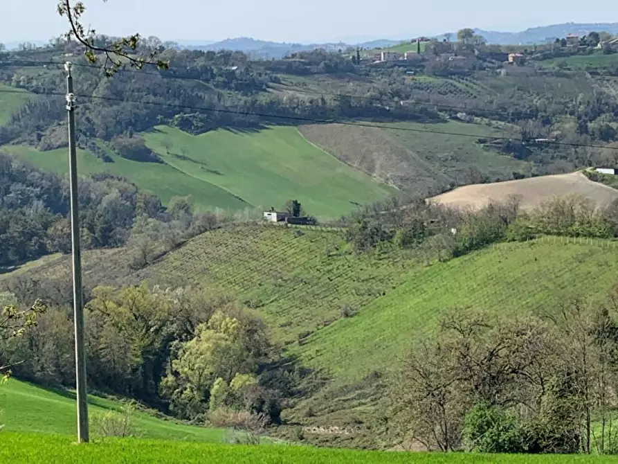 Immagine 6 di Appartamento in vendita  in Contrada San Procolo a Monte Vidon Combatte