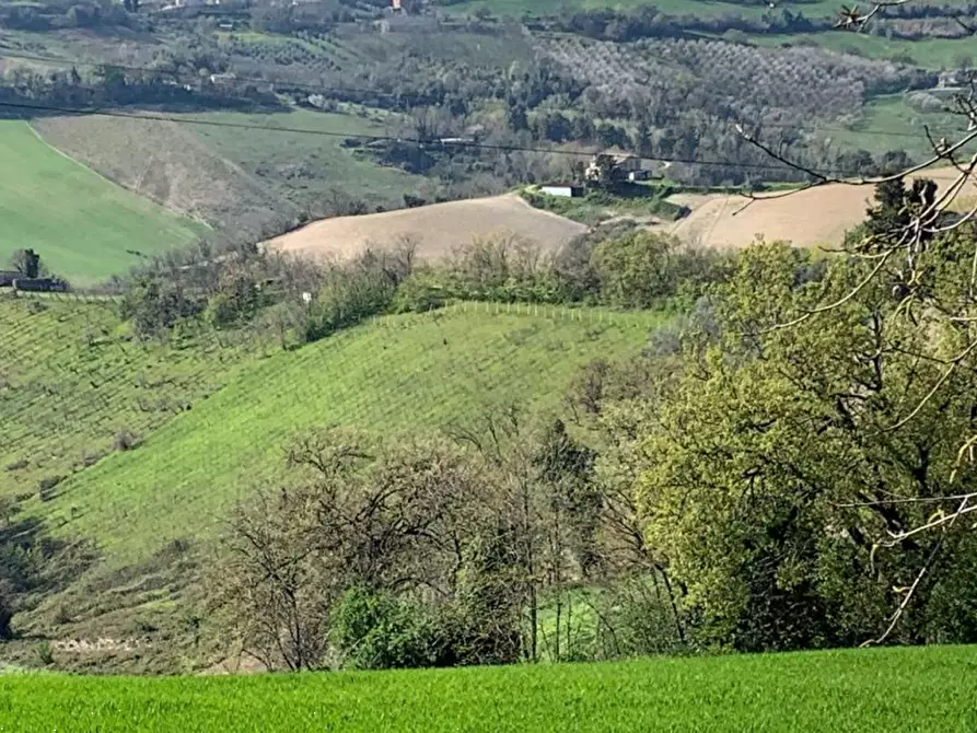 Immagine 7 di Appartamento in vendita  in Contrada San Procolo a Monte Vidon Combatte