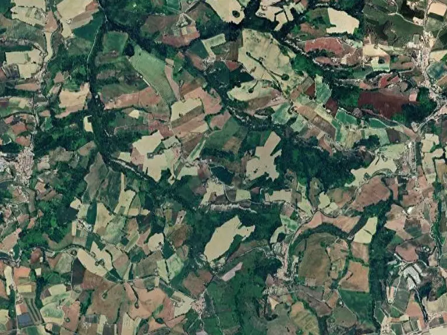 Immagine 11 di Appartamento in vendita  in Contrada San Procolo a Monte Vidon Combatte