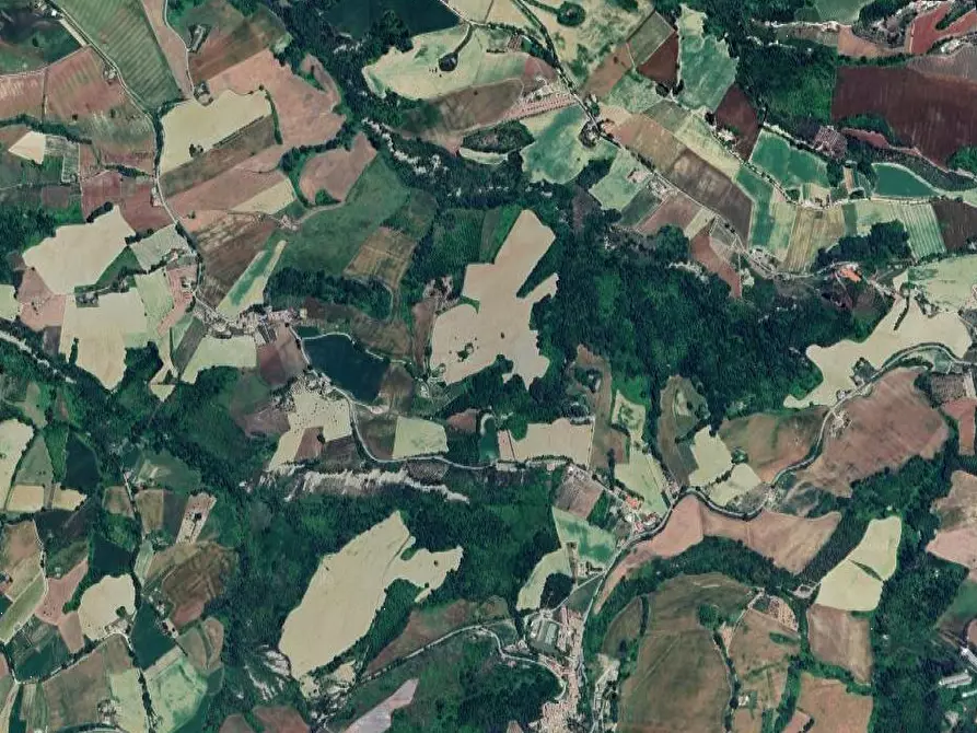 Immagine 12 di Appartamento in vendita  in Contrada San Procolo a Monte Vidon Combatte