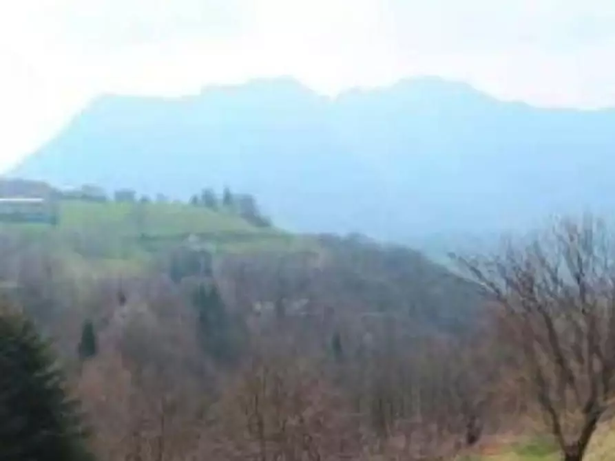 Immagine 2 di Terreno agricolo in vendita  in Località Livemmo a Pertica Alta