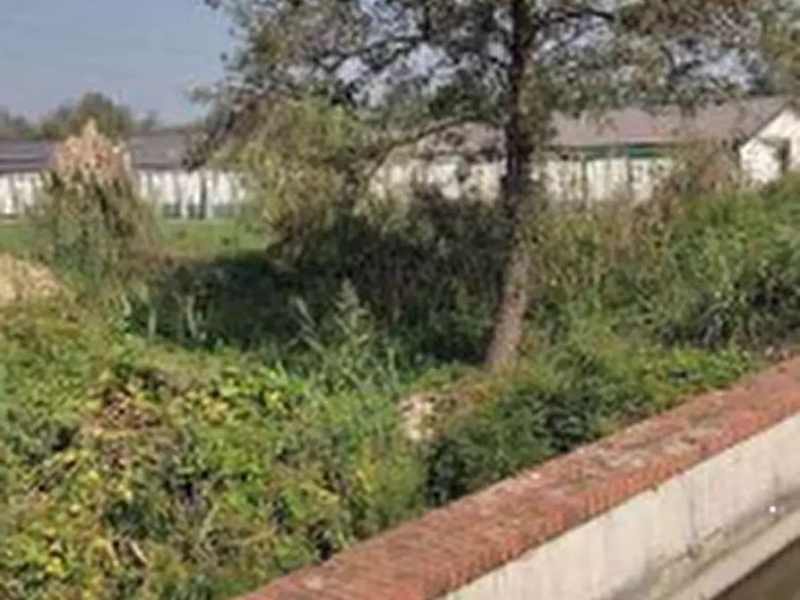 Immagine 2 di Terreno agricolo in vendita  in Località Cascina Trinchera a Ozzero