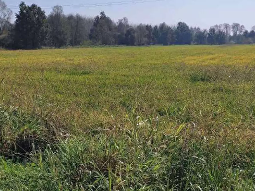 Immagine 7 di Terreno agricolo in vendita  in Località Cascina Trinchera a Ozzero