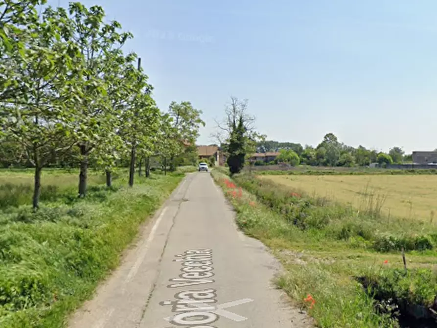 Immagine 5 di Terreno agricolo in vendita  in Località Cascina Trinchera a Ozzero