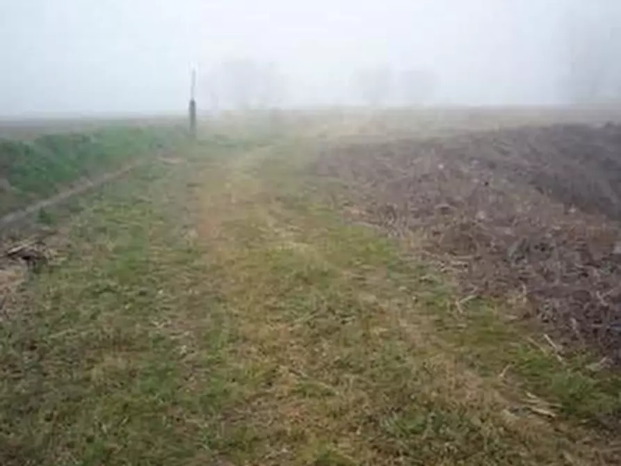 Immagine 1 di Terreno agricolo in vendita  in Località Alfianello  a Alfianello