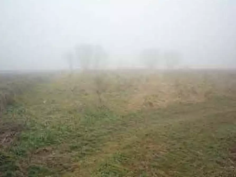 Immagine 2 di Terreno agricolo in vendita  in Località Alfianello  a Alfianello