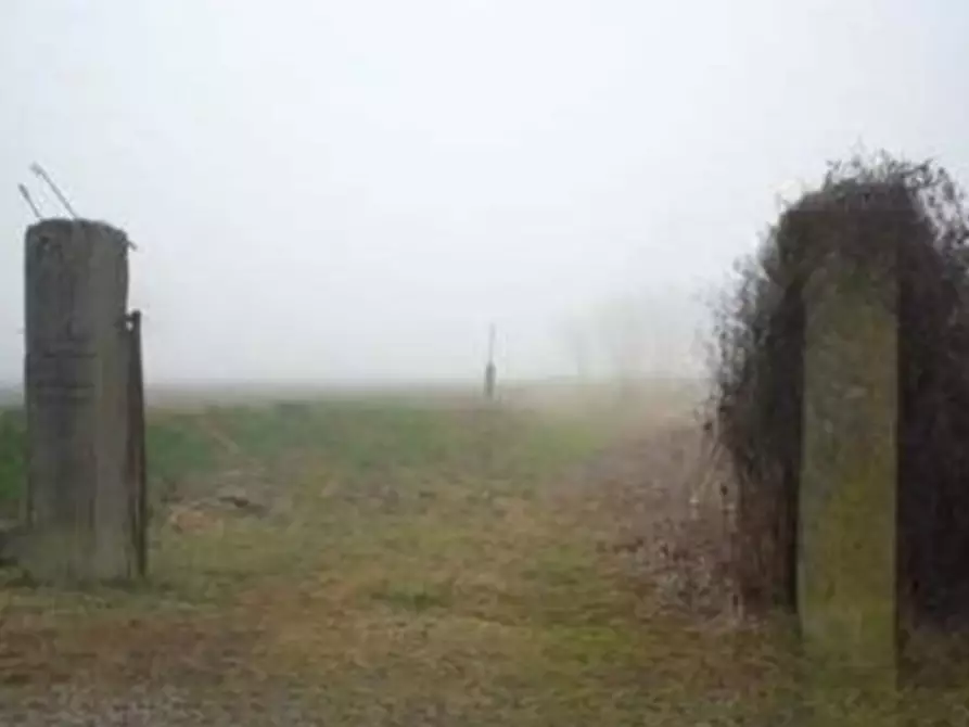 Immagine 6 di Terreno agricolo in vendita  in Località Alfianello  a Alfianello