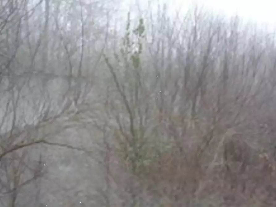 Immagine 3 di Rustico / casale in vendita  in Via Zanardelli a Alfianello