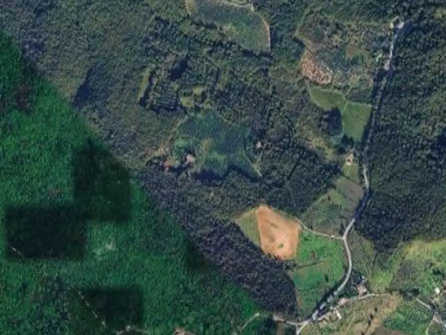 Immagine 1 di Terreno agricolo in vendita  in Via della Fabbrica a Scandicci