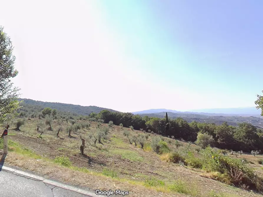 Immagine 8 di Terreno agricolo in vendita  in Via della Fabbrica a Scandicci