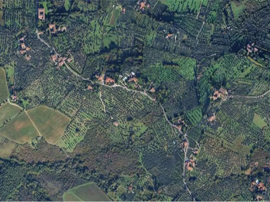 Immagine 2 di Terreno agricolo in vendita  in Via San Martino a Scandicci