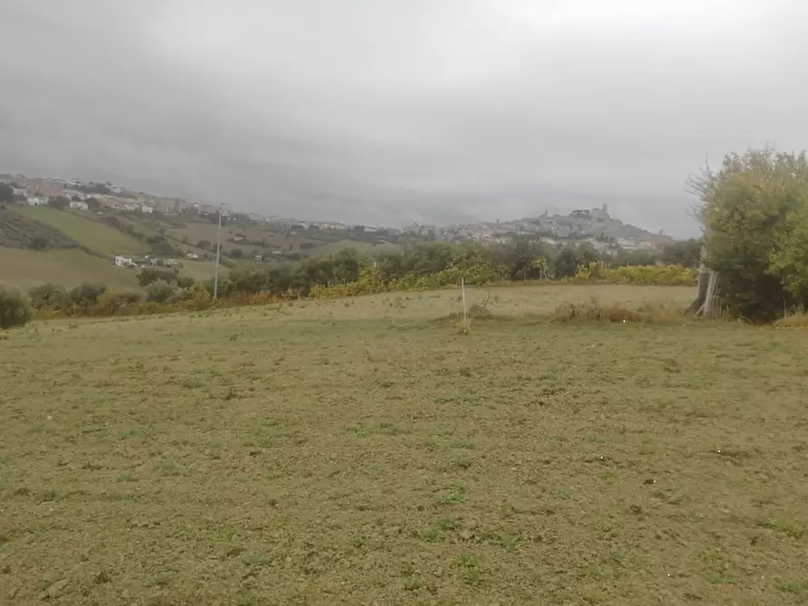 Immagine 1 di Terreno agricolo in vendita  in Via Castiglionese a Fermo