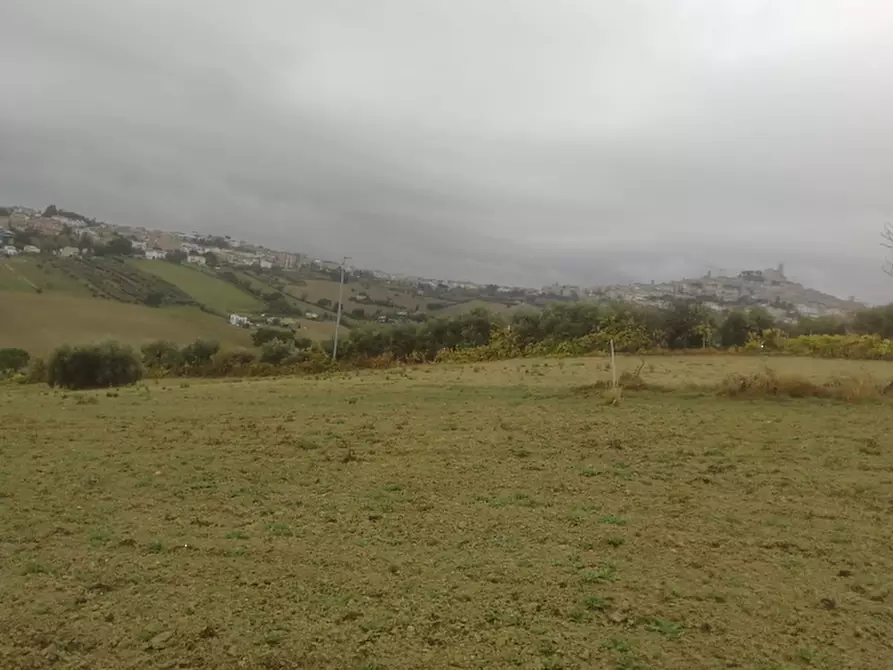 Immagine 2 di Terreno agricolo in vendita  in Via Castiglionese a Fermo