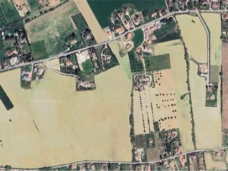 Immagine 9 di Terreno agricolo in vendita  in Via Castiglionese a Fermo