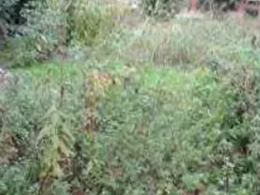 Immagine 1 di Terreno agricolo in vendita  in loc. Vistarino a Vistarino