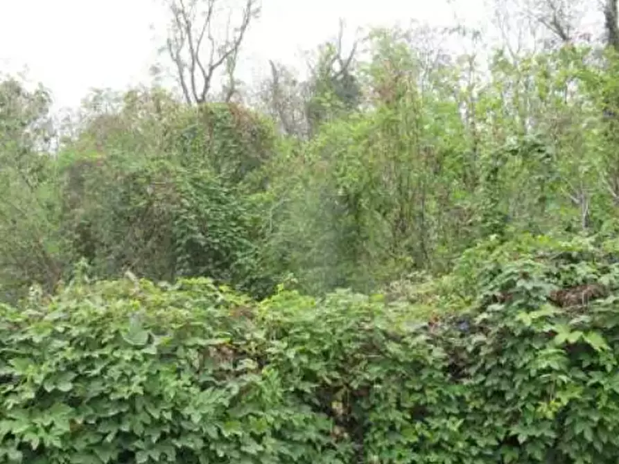 Immagine 1 di Terreno agricolo in vendita  in loc. Vistarino a Vistarino