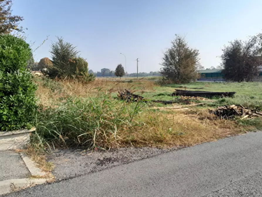 Immagine 4 di Terreno edificabile in vendita  in Via Madre Teresa di Calcutta a San Cipriano Po