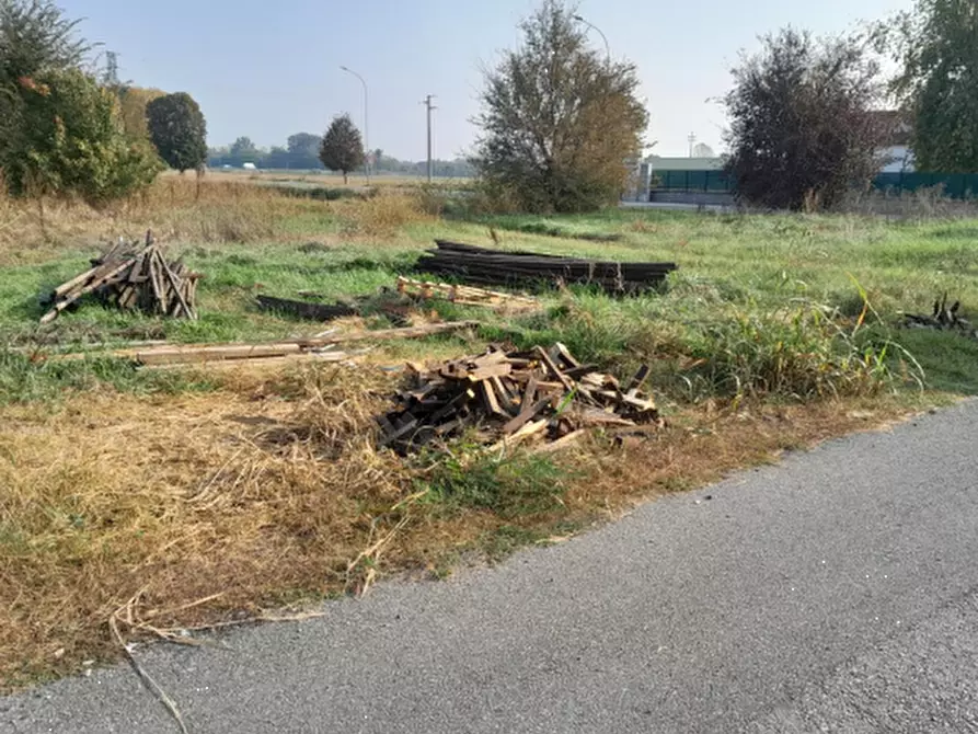 Immagine 5 di Terreno edificabile in vendita  in Via Madre Teresa di Calcutta a San Cipriano Po