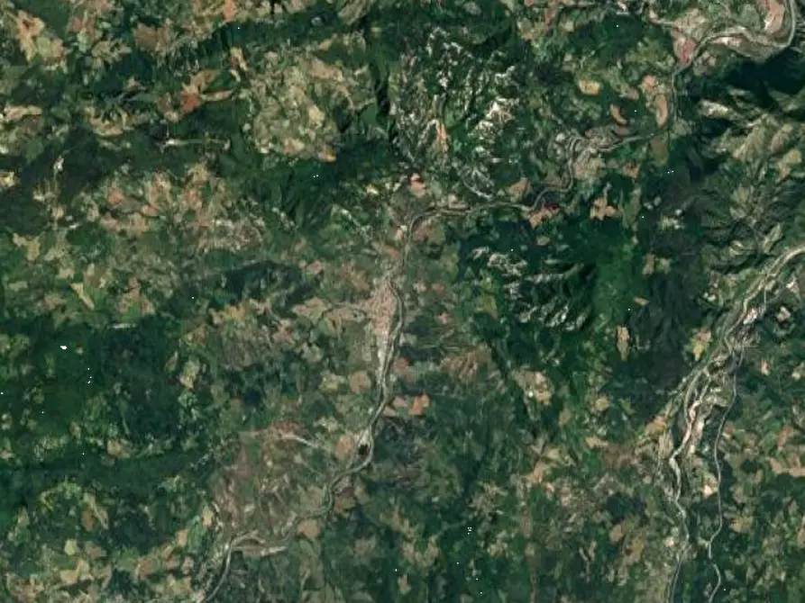 Immagine 9 di Appartamento in vendita  in Via Carviano di Savignano a Grizzana Morandi