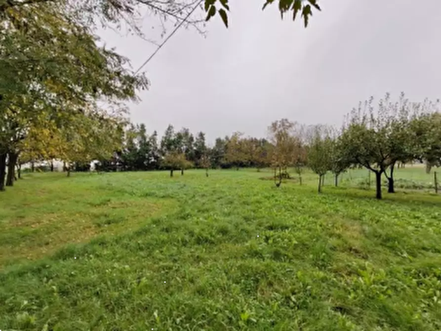 Immagine 18 di Casa indipendente in vendita  in Via Merlo  a Imola