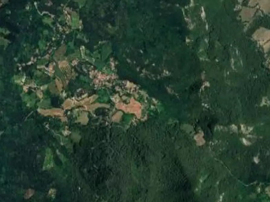 Immagine 10 di Appartamento in vendita  in Via Borgo Palense a Grizzana Morandi