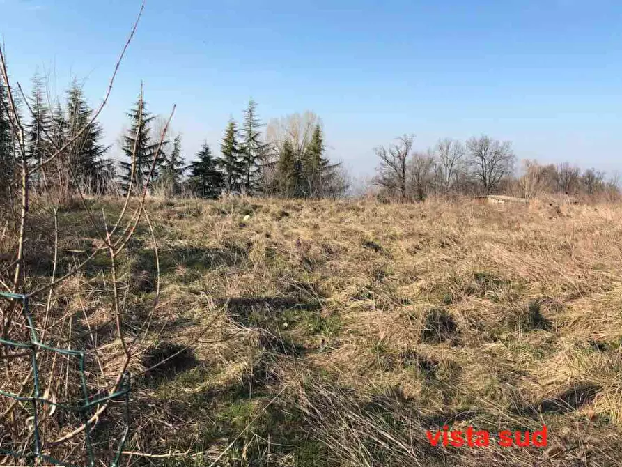 Immagine 2 di Terreno agricolo in vendita  in Località Boffarola a Gazzola