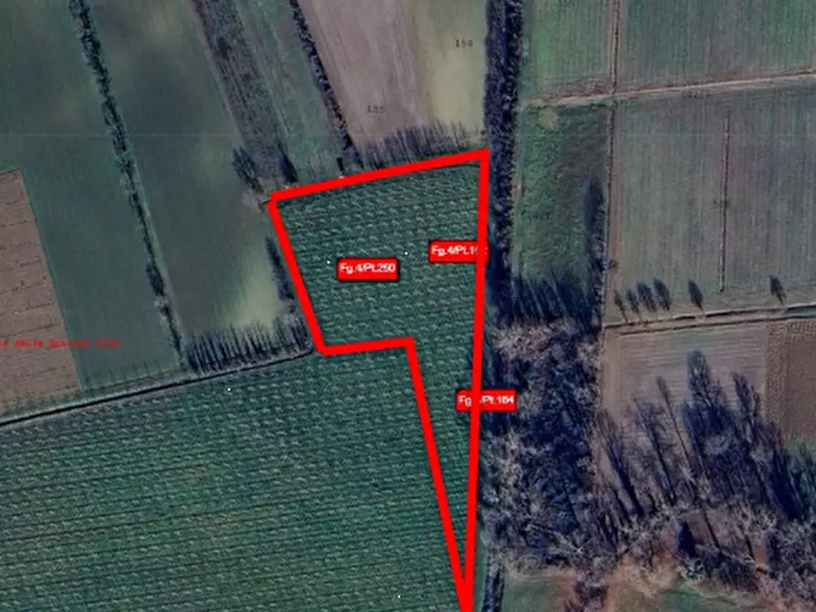 Immagine 1 di Terreno agricolo in vendita  in Frazione Privano a Bagnaria Arsa