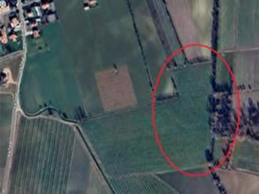 Immagine 9 di Terreno agricolo in vendita  in Frazione Privano a Bagnaria Arsa