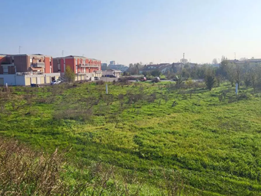 Immagine 2 di Terreno edificabile in vendita  in via Tassi a San Felice Sul Panaro