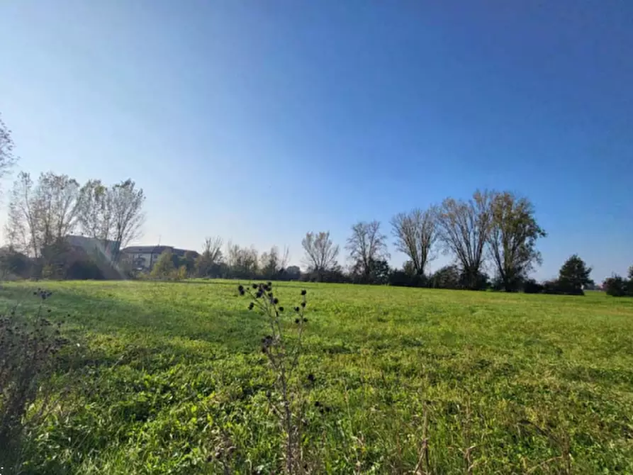 Immagine 3 di Terreno edificabile in vendita  in via Tassi a San Felice Sul Panaro