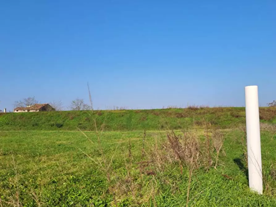 Immagine 4 di Terreno edificabile in vendita  in via Tassi a San Felice Sul Panaro