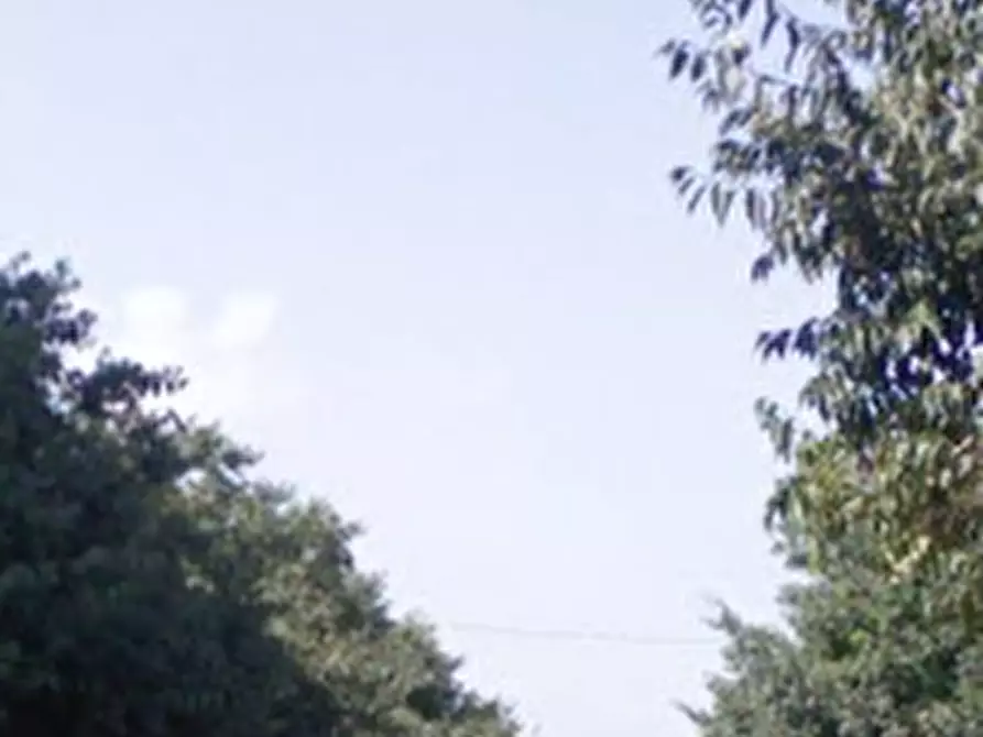 Immagine 15 di Appartamento in vendita  in Viale Giovanni Boccaccio  a Busto Arsizio