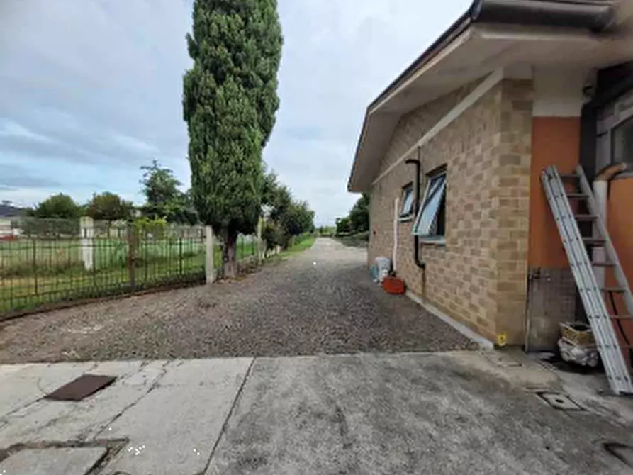 Immagine 3 di Laboratorio in vendita  in Frazione Svegliano a Bagnaria Arsa